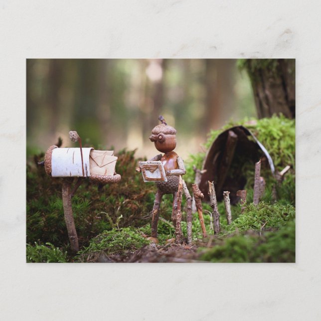 Postkarte für Acorn elf lesen - Postkreuz Postkart (Vorderseite)