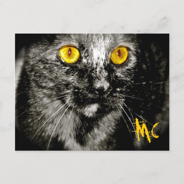 Postkarte für Affen (Vorderseite)