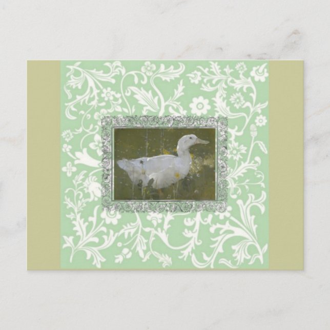 Postkarte für Aquarellente (Vorderseite)