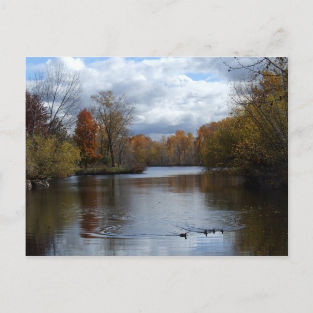 Postkarte für Boise Fall (Vorderseite)