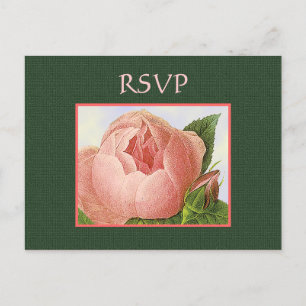 Postkarte für Botanische Rosen, UAWG