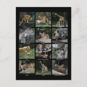 Postkarte für das Baby