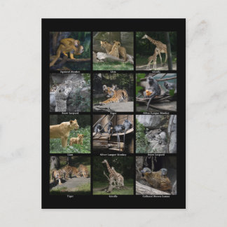 Postkarte für das Baby