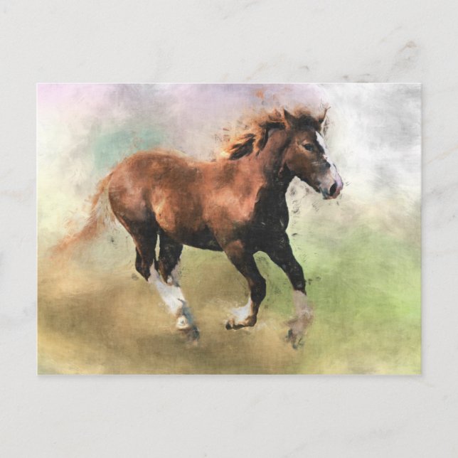 Postkarte für das Cantering Fohlen (Vorderseite)