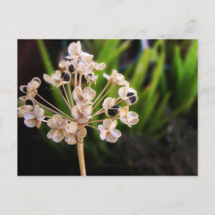 Postkarte für das Naturgut