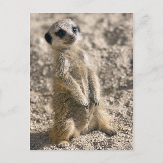 Postkarte für den Einstieg in die Ausbildung (Vorderseite)