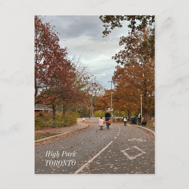 Postkarte für den Fall im Hochpark Toronto Kanada (Vorderseite)