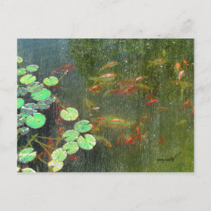 Postkarte für den Fischteich