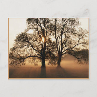 Postkarte für den Herbst