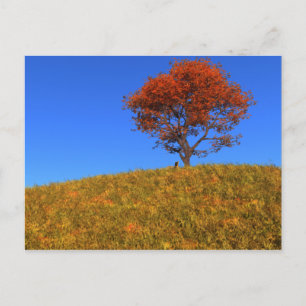 Postkarte für den Herbsttag löschen