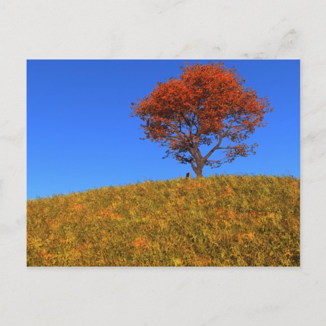 Postkarte für den Herbsttag löschen (Vorderseite)