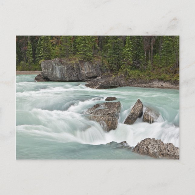 Postkarte für den kanadischen Fluss (Vorderseite)