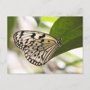 Postkarte für den Papierkrampf