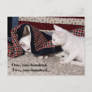 Postkarte für den versteckten Spaß von Kitty