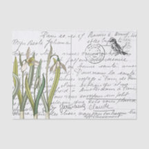 Postkarte für den Vintagen Snowdrop-Bird