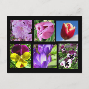 Postkarte für die Frühlings-Blume
