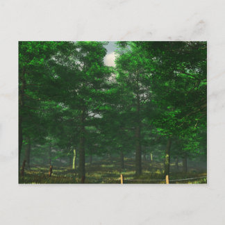 Postkarte für die Klarheit der Natur