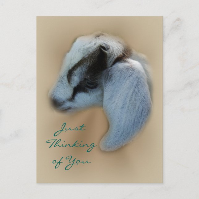 Postkarte für die Ziegenkarte - anpassen (Vorderseite)