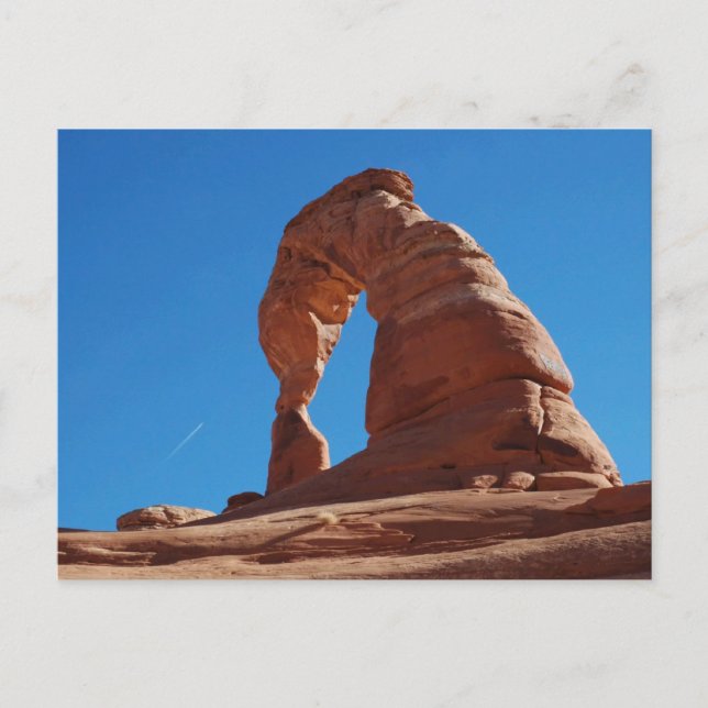 Postkarte für empfindliche Arche (Vorderseite)