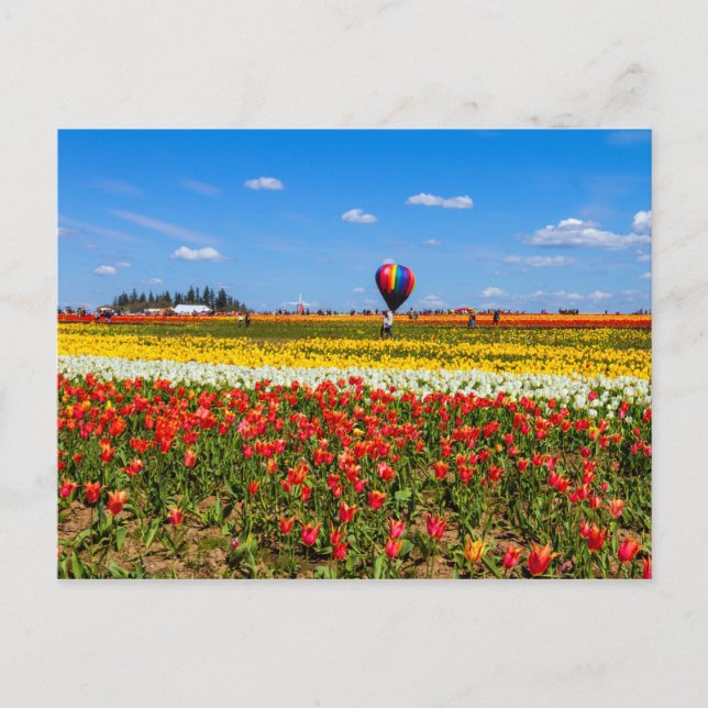 Postkarte für Frühlingshuppen (Vorderseite)