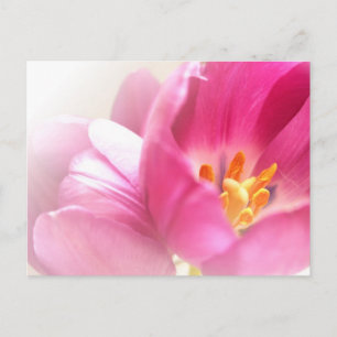 Postkarte für Frühlingshuppen