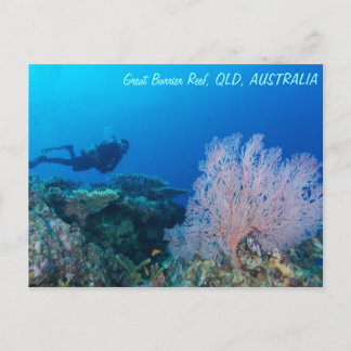 Postkarte für großes Riff