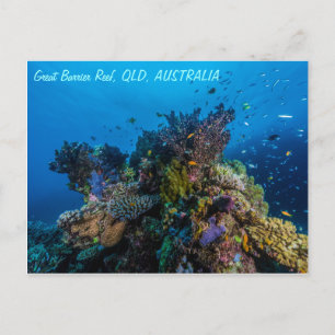 Postkarte für großes Riff
