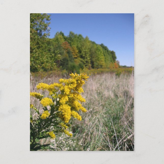 Postkarte für Herbst (Vorderseite)