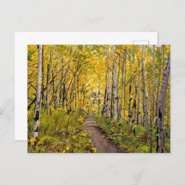 Postkarte für Herbst-Aspen-Baumbestand