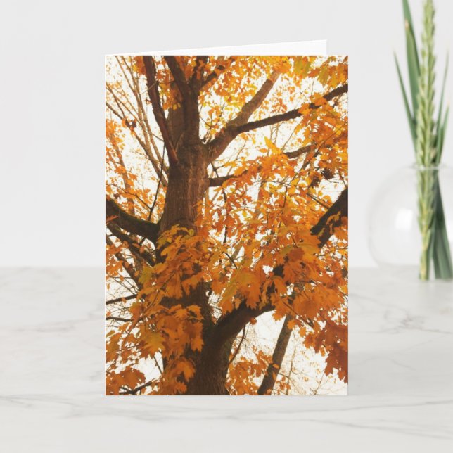Postkarte für Herbstausgänge (Vorderseite)