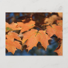 Postkarte für Herbstausgänge