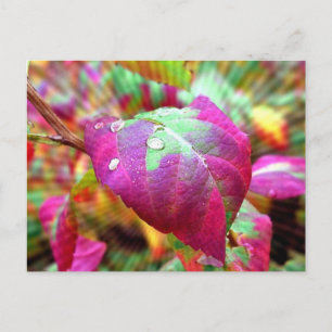 Postkarte für Herbstfarben