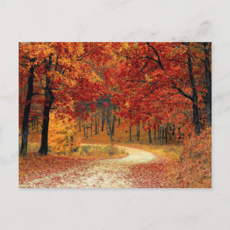 Postkarte für Herbstfarben