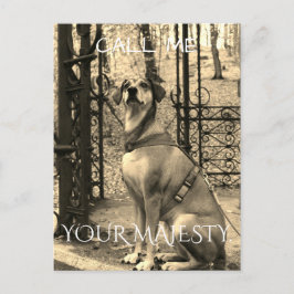 Postkarte für Hunde mit Text und Foto