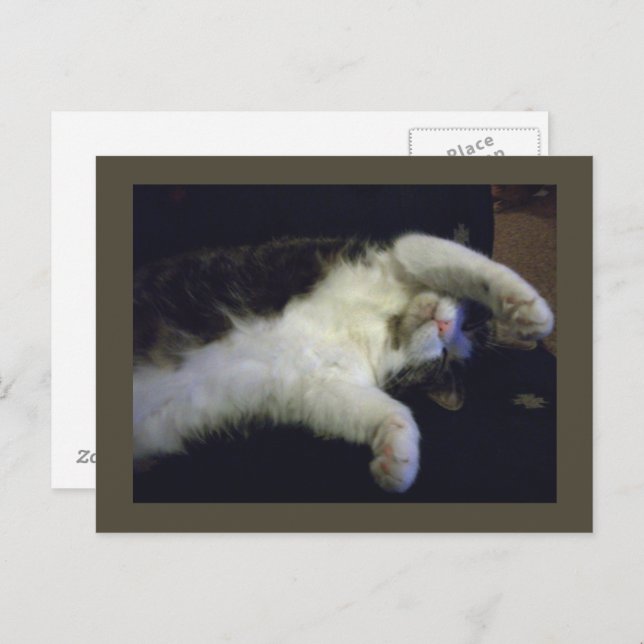 Postkarte für Kinder (Vorne/Hinten)