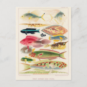 Postkarte für klassische Illustration
