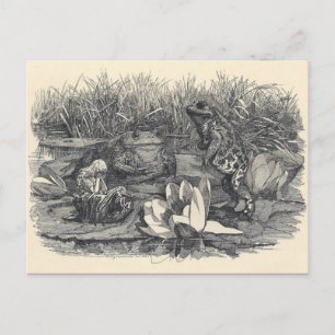 Postkarte für klassische Illustration