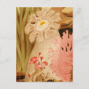 Postkarte für klassische Illustration