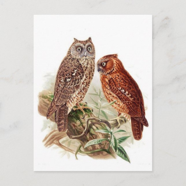 Postkarte für klassische Illustration (Vorderseite)