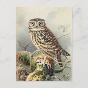 Postkarte für klassische Illustration