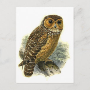 Postkarte für klassische Illustration