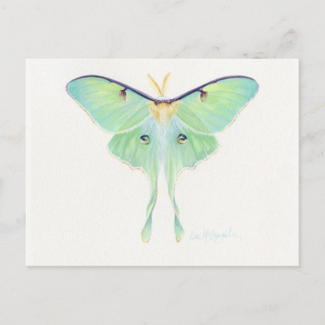 Postkarte für klassische Illustration (Vorderseite)