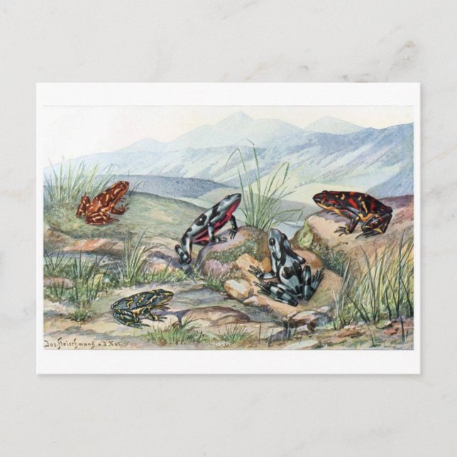 Postkarte für klassische Illustration (Vorderseite)