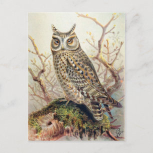 Postkarte für klassische Illustration