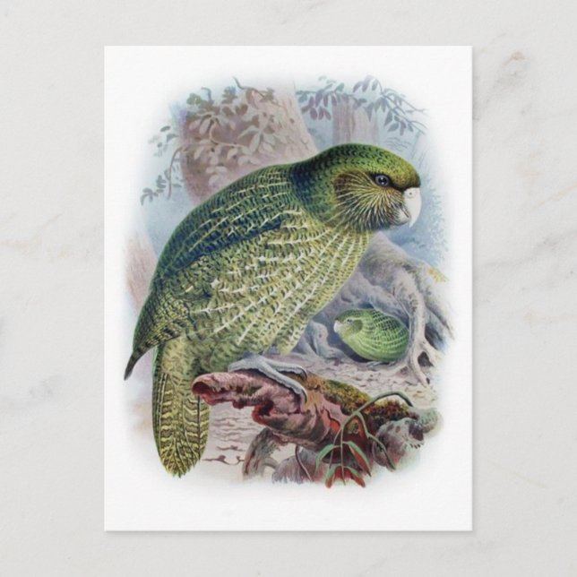 Postkarte für klassische Illustration (Vorderseite)