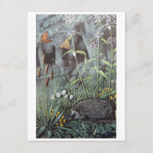 Postkarte für klassische Illustration