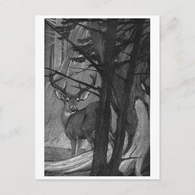 Postkarte für klassische Illustration (Vorderseite)