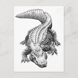 Postkarte für klassische Illustration