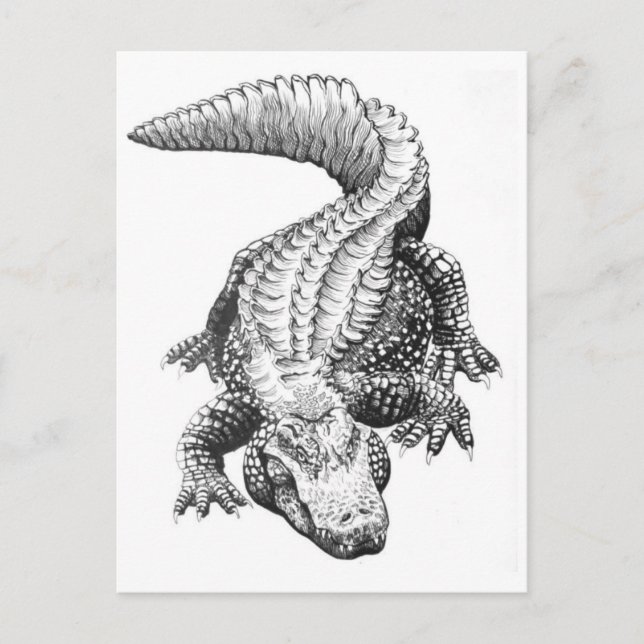 Postkarte für klassische Illustration (Vorderseite)