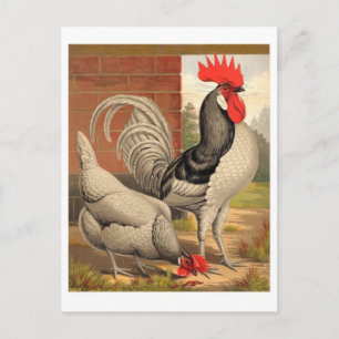 Postkarte für klassische Illustration